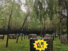 -亲兄弟真人CS团建拓展基地