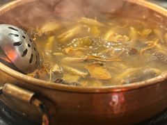 -阿山卓·野生菌火锅·纳西火塘烤肉