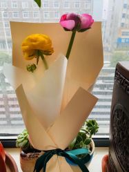 -安琪儿妇产医院·医养月子中心