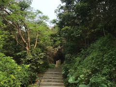 -小南山公园