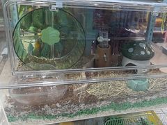 -FAELING PETS美天灵宠物(合生汇店)