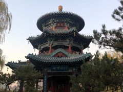 -迎泽公园