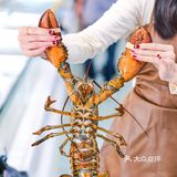 商场里的“大排档”！实现海鲜自由