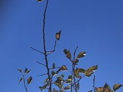 -蟠龙山长城景区