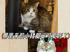 -小时光咖啡馆(北锣鼓巷店)