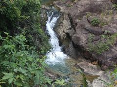 -广州白江湖森林公园