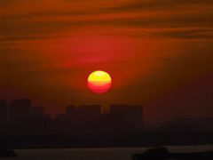 -芒洲湿地公园