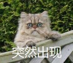 -杭州浪浪浪水公园