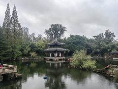 -水绘园