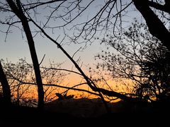 -天目山大树王景区