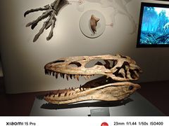 -自贡恐龙博物馆