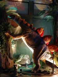 点击看大图 -恐龙探索乐园(磁器口店)