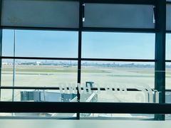 -虹桥机场国航贵宾室v8