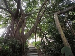 -厦门悦华酒店
