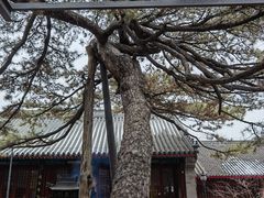 -红螺寺