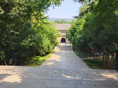 -灵谷景区