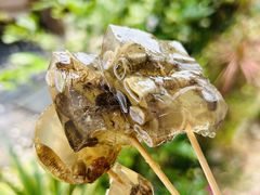 -铭聚章鱼土笋冻(松柏店)