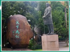 -中山公园