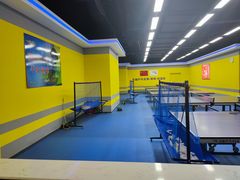 -乐旋乒乓球(郑州一站广场店)