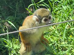 -大连森林动物园