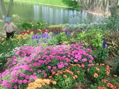 -上海共青森林公园