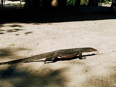 -东姑阿都拉曼海洋公园