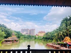 -抚仙湖生态石锅鱼野生菌(告庄店)