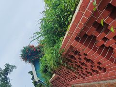 -八大关景区