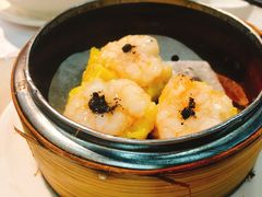 -糖朝(尖沙咀店)