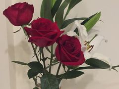 -春暖花开(西溪店)