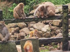 -姑婆山旅游区