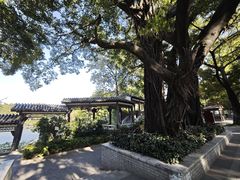 -荔湾湖公园