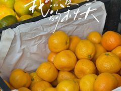 -小陆莲花蟹园农家乐(莲花岛店)