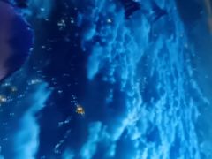 -太平洋海底世界