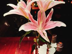 -花马天堂云南餐厅 Lost Heaven(外滩店)