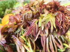 -福照楼汽锅鸡·云南菜(万达广场店)