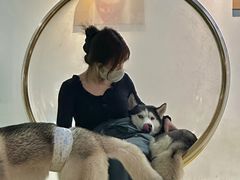 -Husky Go! 哈士奇体验馆·宠物咖啡厅狗咖