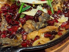 -老板恋上鱼(恒隆广场店)