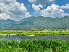 -腾冲北海湿地