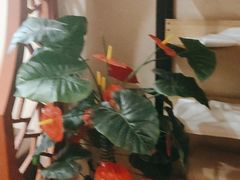 -筋骨堂热敷推拿按摩(翠华路店)