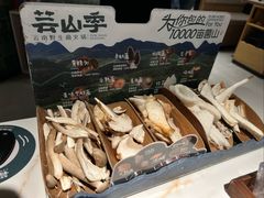 -芸山季·云南山珍菌火锅(南翔印象城MEGA店)