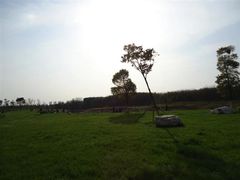 -艾溪湖湿地公园