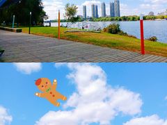 -长白岛森林公园