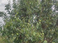 -白鹭湾湿地公园