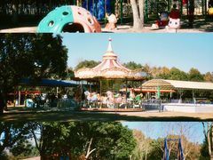 -上海海湾国家森林公园