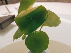 -粤财皇冠假日酒店·彩华轩中餐厅