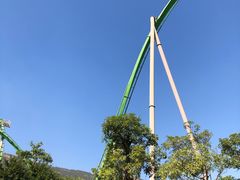 -鹦鹉过山车