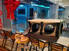 -大型宠物商超·宠海王国·宠物猫狗活体·用品·美容(新世界百货重庆店)