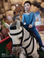 -卡通尼·Safari非洲探索乐园·生日会(金桥国际商业广场店)