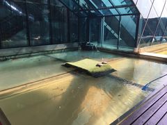 -上海长江河口科技馆